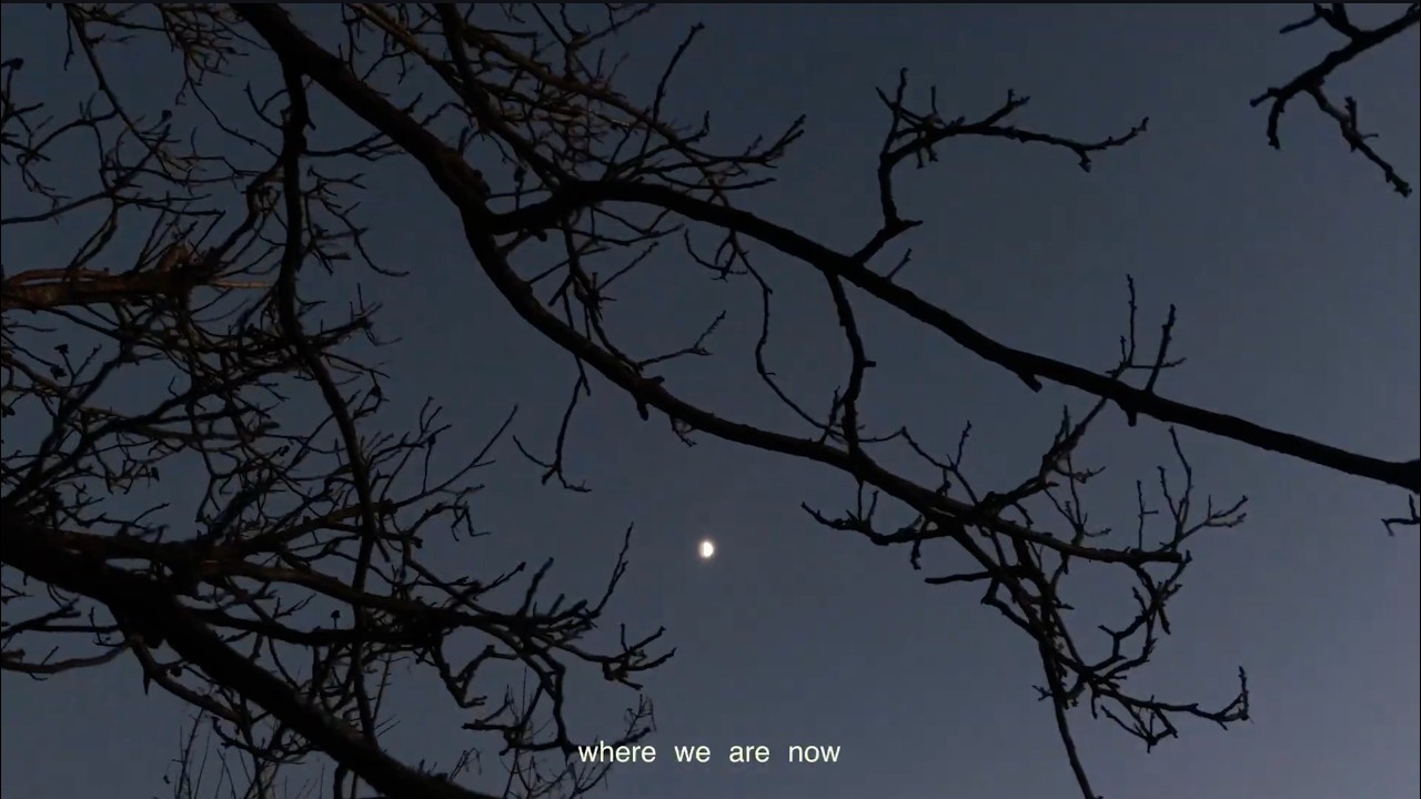 Felm - Temporary Me (Official Visualizer)