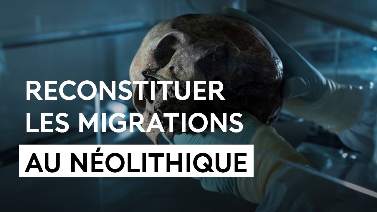 Ce que la paleogénétique nous apprend sur l'Europe néolithique