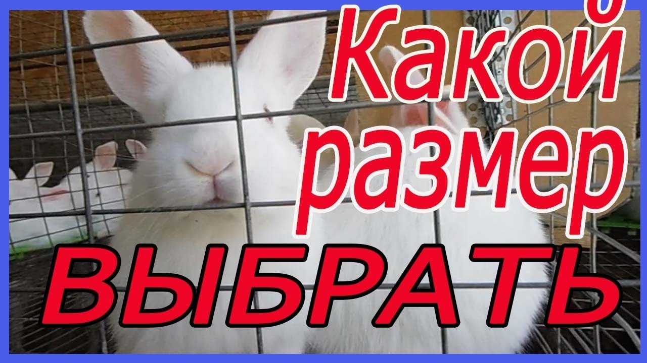 клетка для кролика из сетки / маточные/ откормочные/ для самцов.