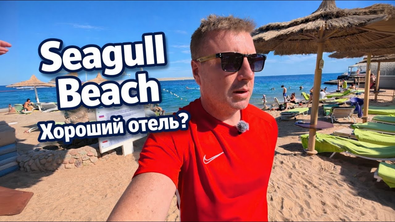 Обзор отеля Seagull Beach Resort | Хургада