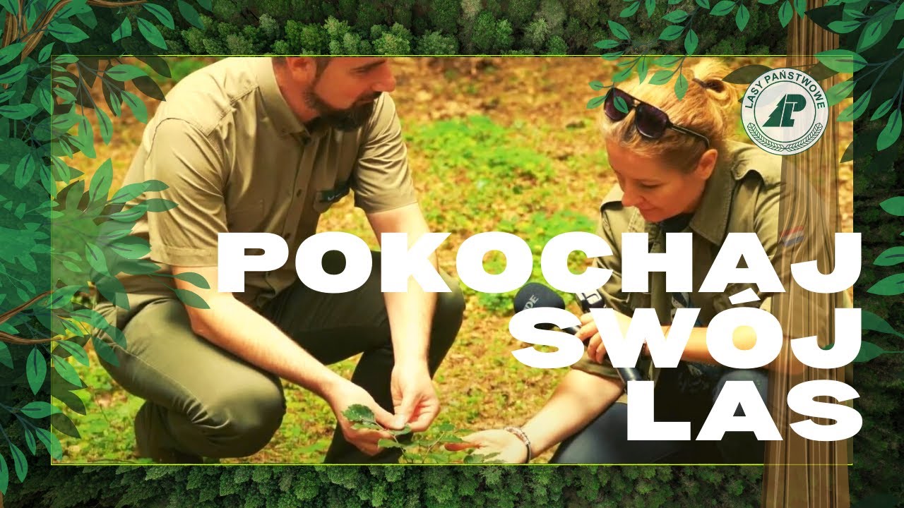 POKOCHAJ SWÓJ LAS. Zapowiedź.