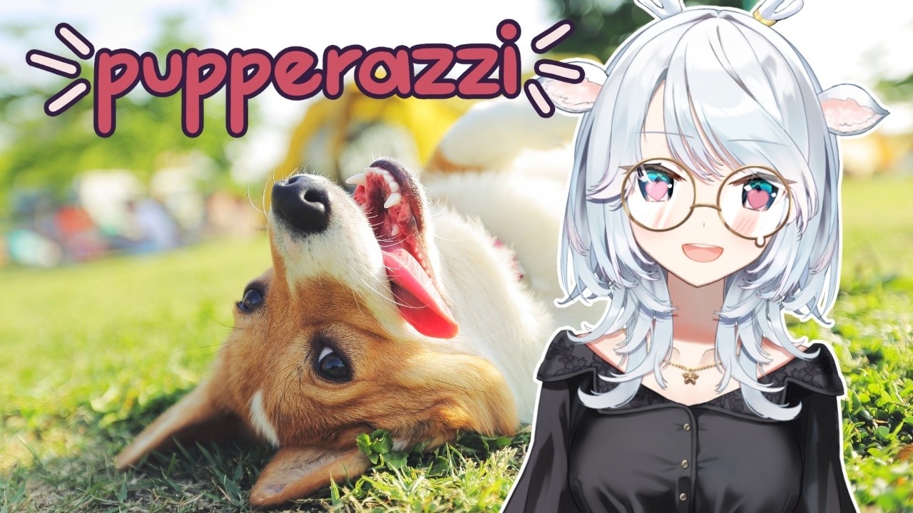 taking photos of doggo (best job ever)【白鹿いおり Phase Connect】