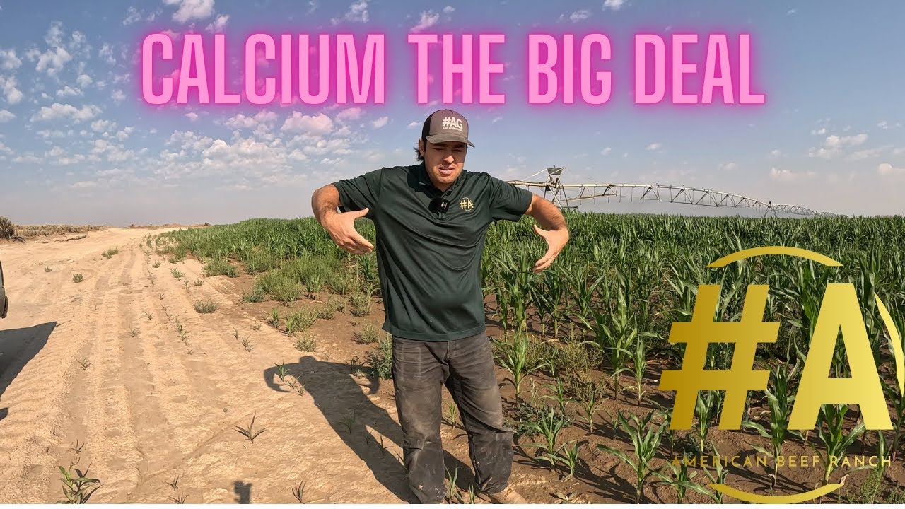 **Кальций: важнейший элемент питания почвы – здоровье почвы!** 🌱