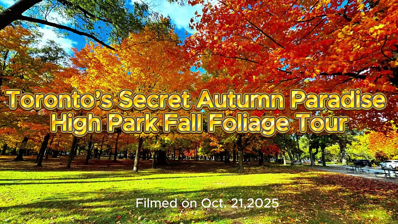 Toronto&rsquo;s High Park in Autumn 🍁 Colorful Leaves & Cute Animals Everywhere! I 4K #Toronto #HighPark