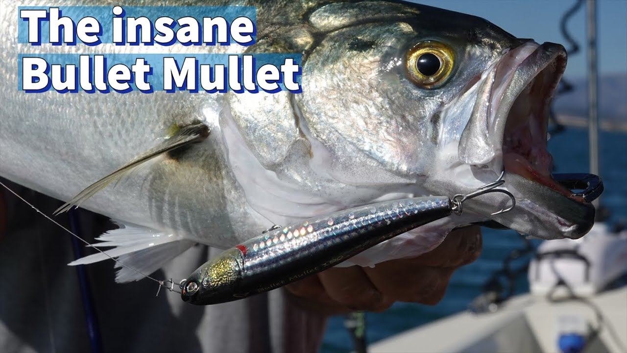 Станьте свидетелем безумия «Bullet Mullet»: безумная прогулка, которую вы должны увидеть!
