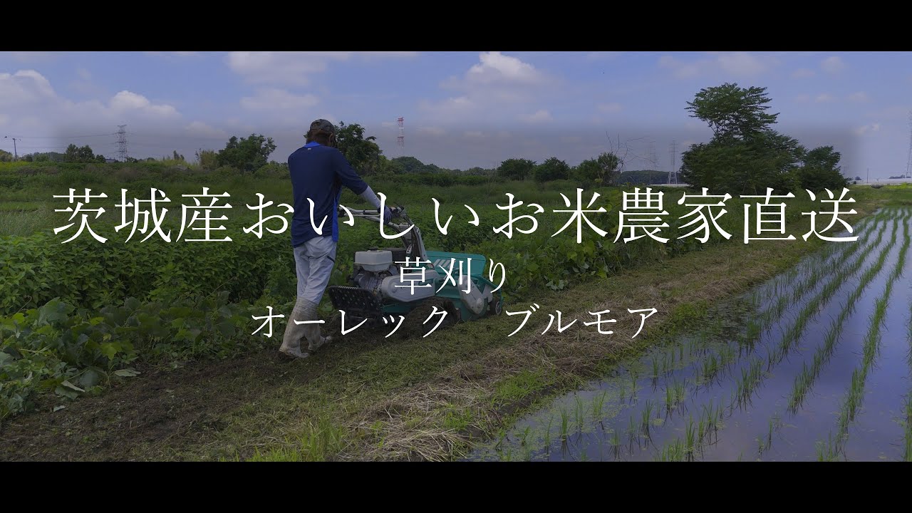 草刈り　手押し　オーレック　ブルモア