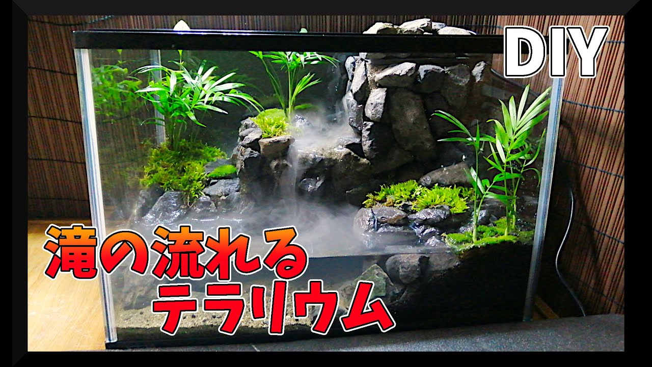 【AquaTerrarium 】メダカを飼育するための滝のあるアクアテラリウムAquaTerrarium