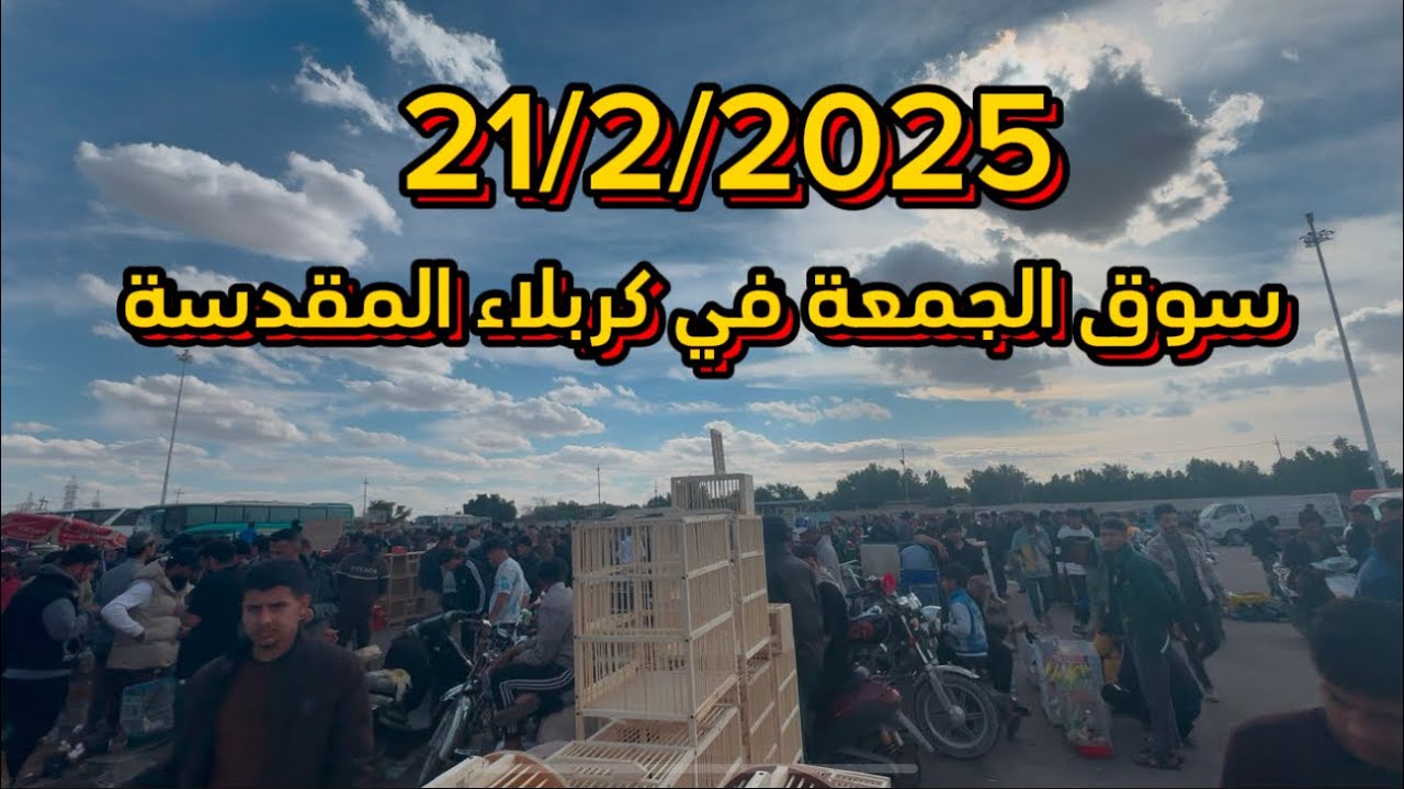 سوق الجمعة في كربلاء المقدسة ( گراج سيد جودة) اسعار الطيور والحيوانات ومستلزماتها واسعار الاقفاص