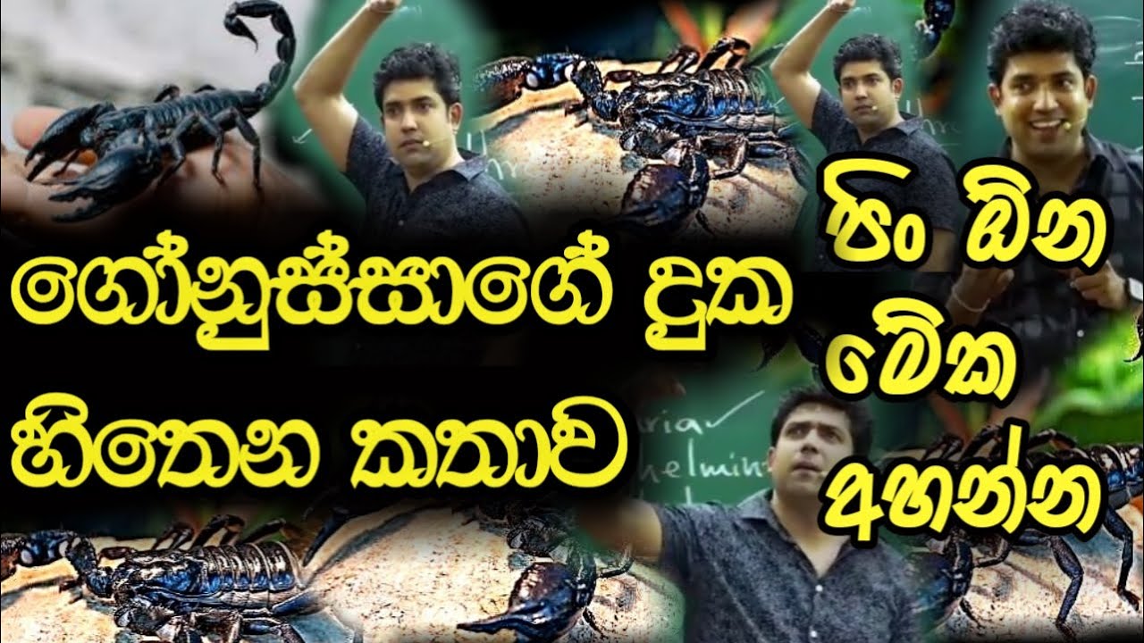 ගෝනුස්සාගේ දුක හිතෙන ඉපදීම | පින තීන්න ඕන මේක අහන්න | Dinesh Muthugala | Episode 15