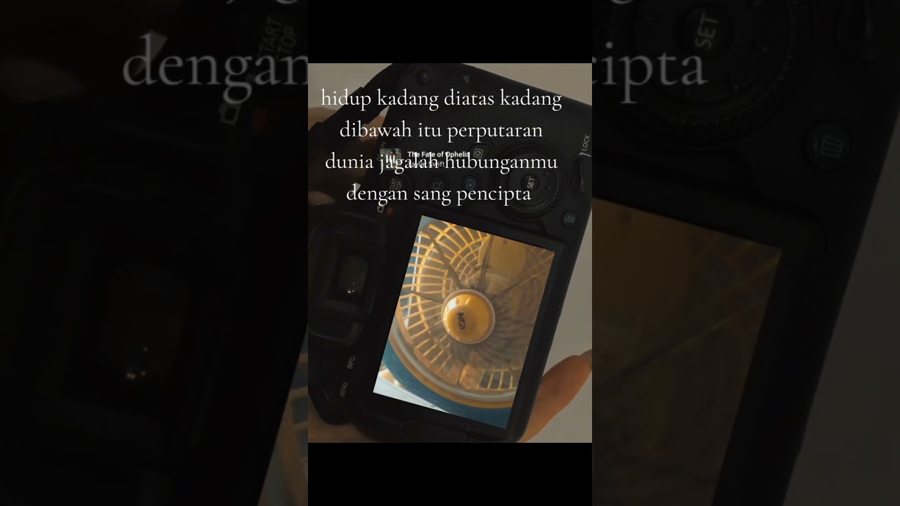 proses kehidupan