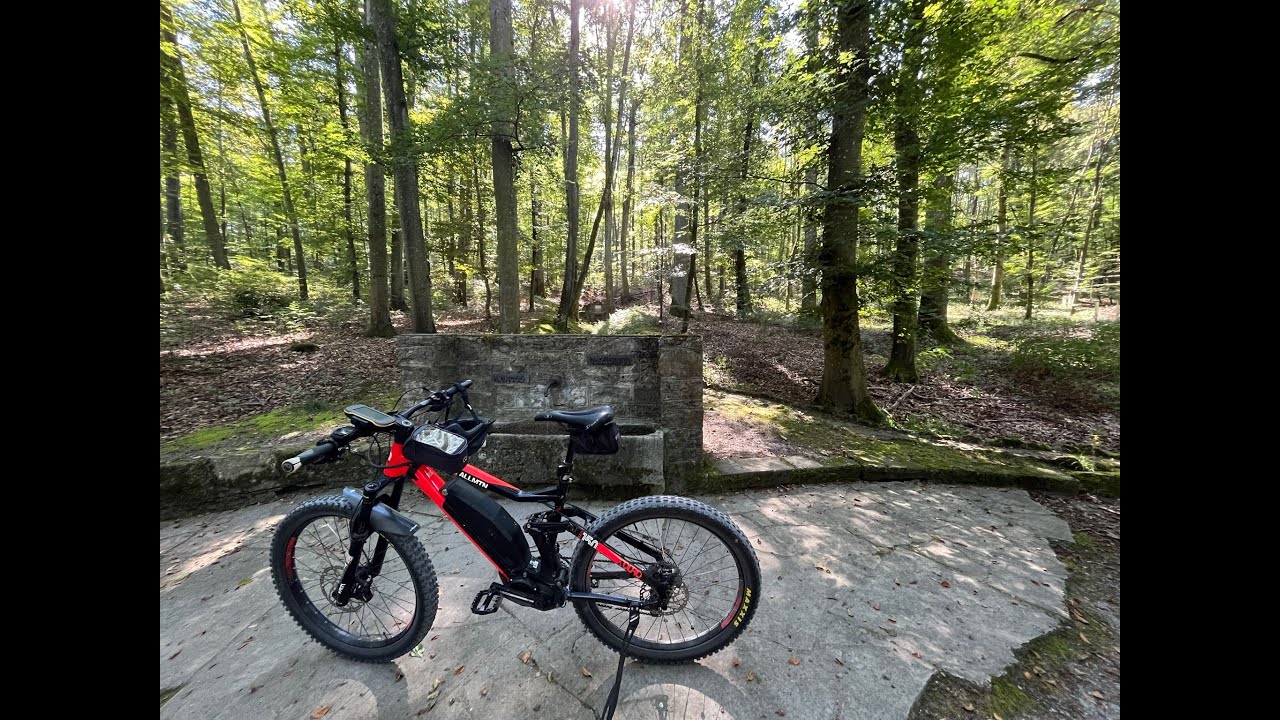 MTB Tour Irtenberger und Guttenberger Wald