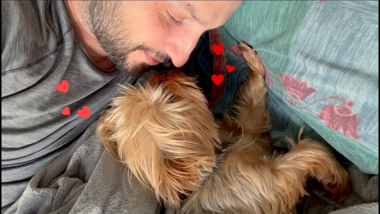 Shhh... Don't Let Mum Know We Spent All Day in Bed 🐾💤