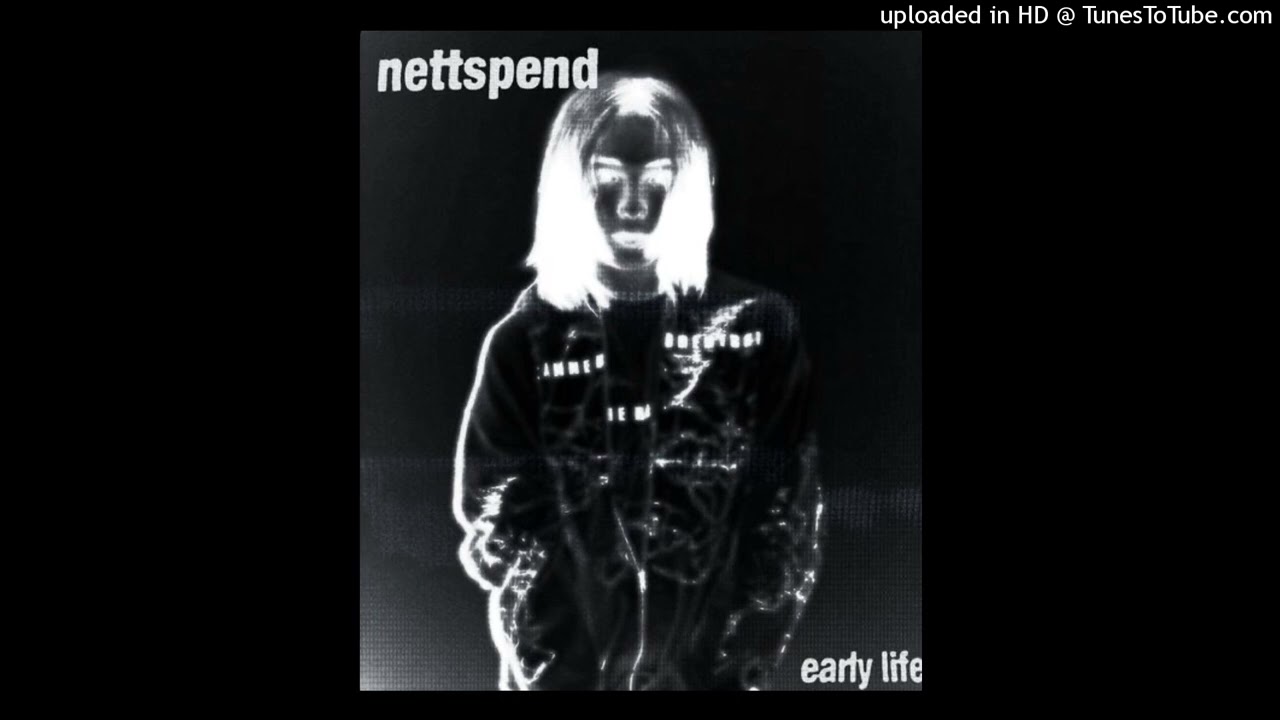 [free] nettspend + early life crisis type beat - 