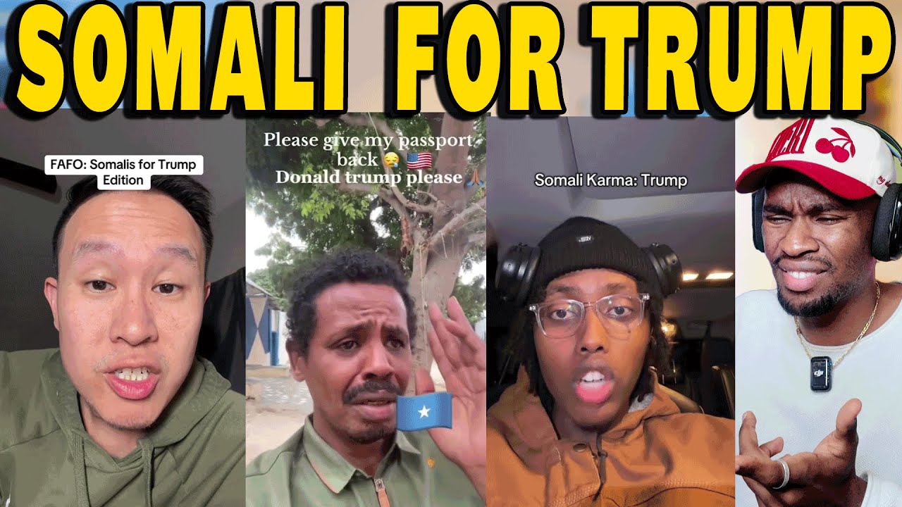 Somali MAGA Voters Are Finding Out the Hard Way… Their Vote Backfired
