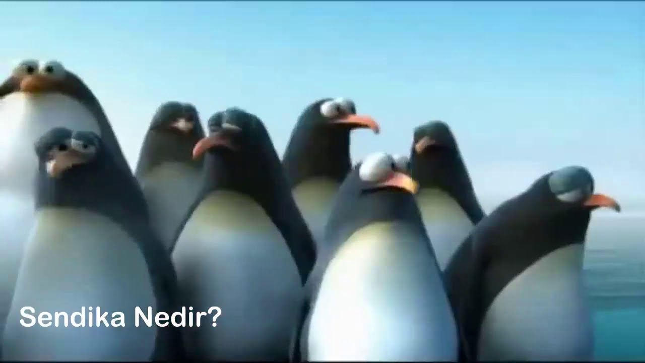 Sendika nedir?