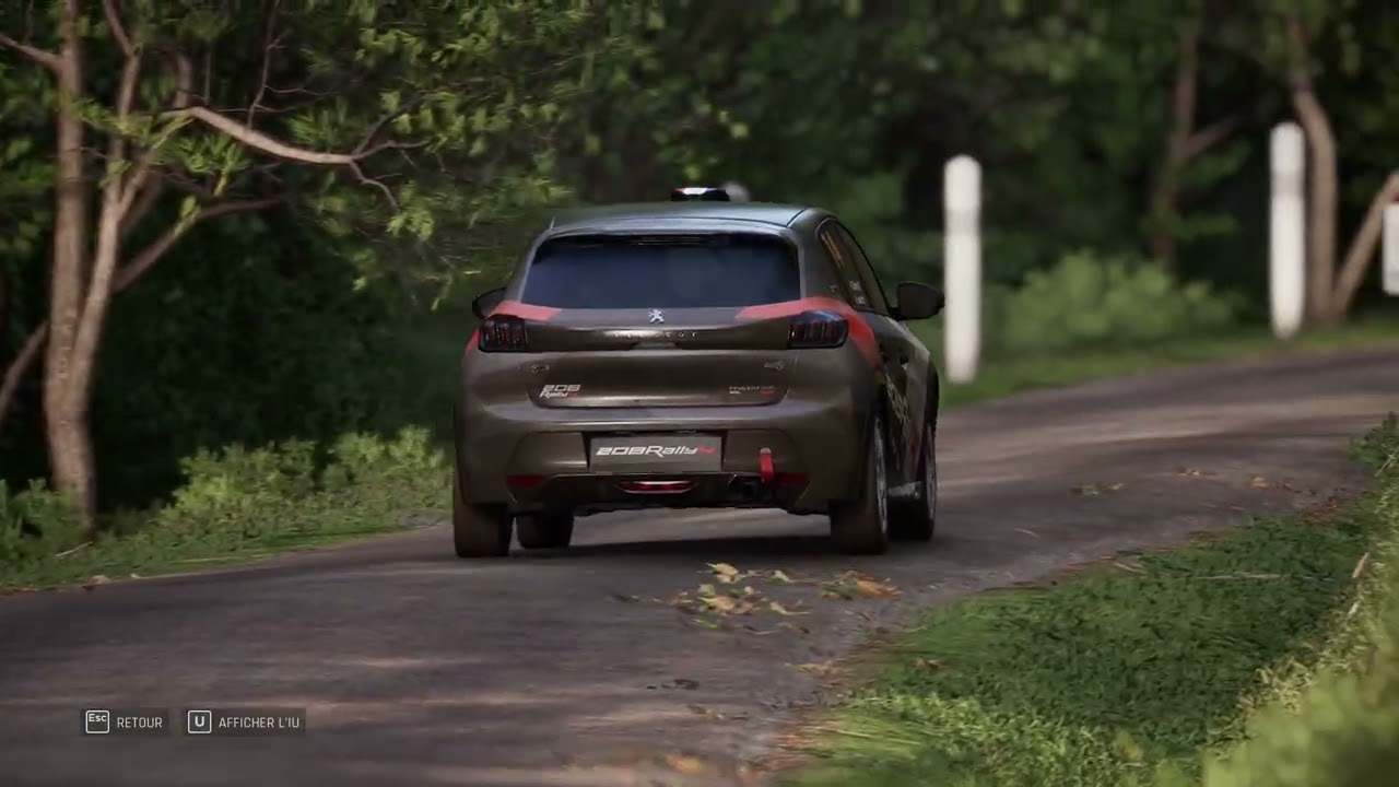 Assetto Corsa Rally   - saverne speciale - peugeot 208 rally 4