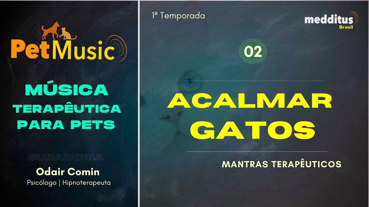 Música para Acalmar Gatos