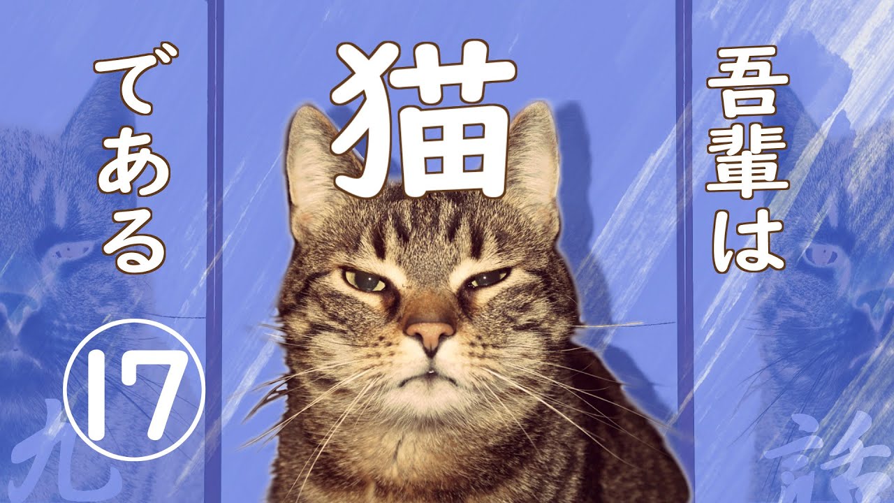 【朗読】吾輩は猫である(17)／夏目漱石
