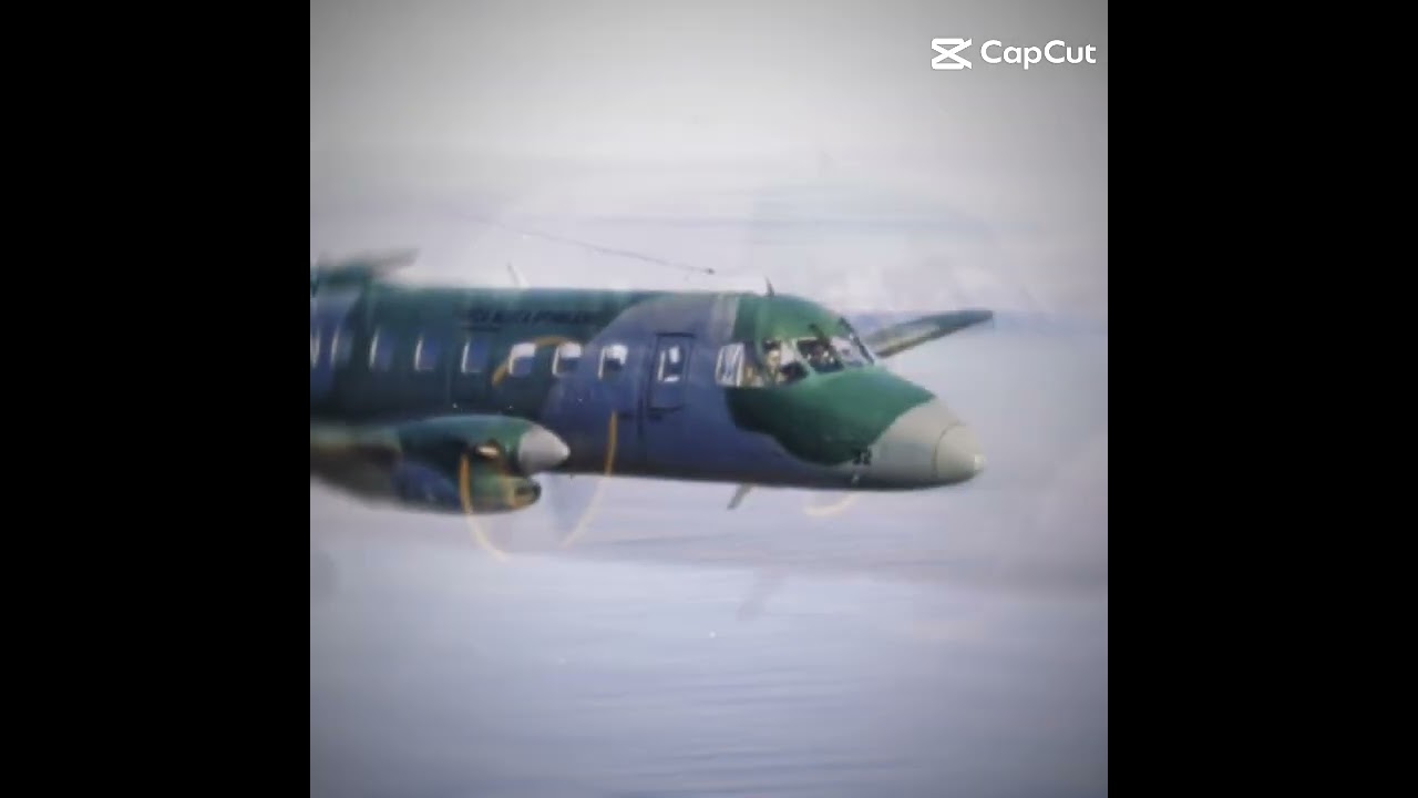 Embraer Bandeirante EMB-110 edit