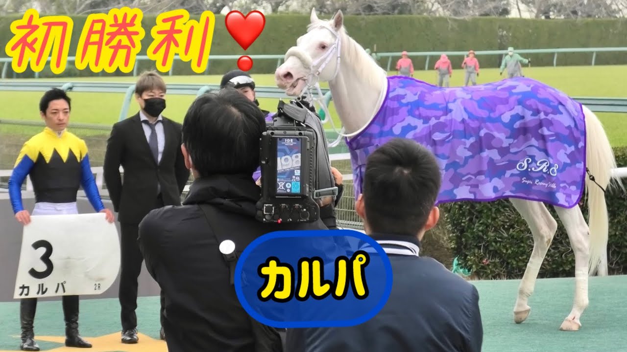 ダートで開眼❗️カルパ待望の初勝利‼️㊗️