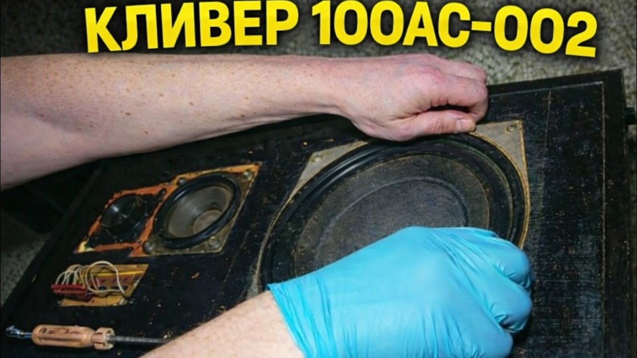 I Opened a Soviet Speaker and Found This Inside