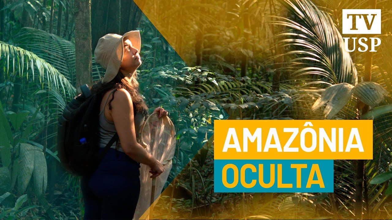 Amazônia oculta