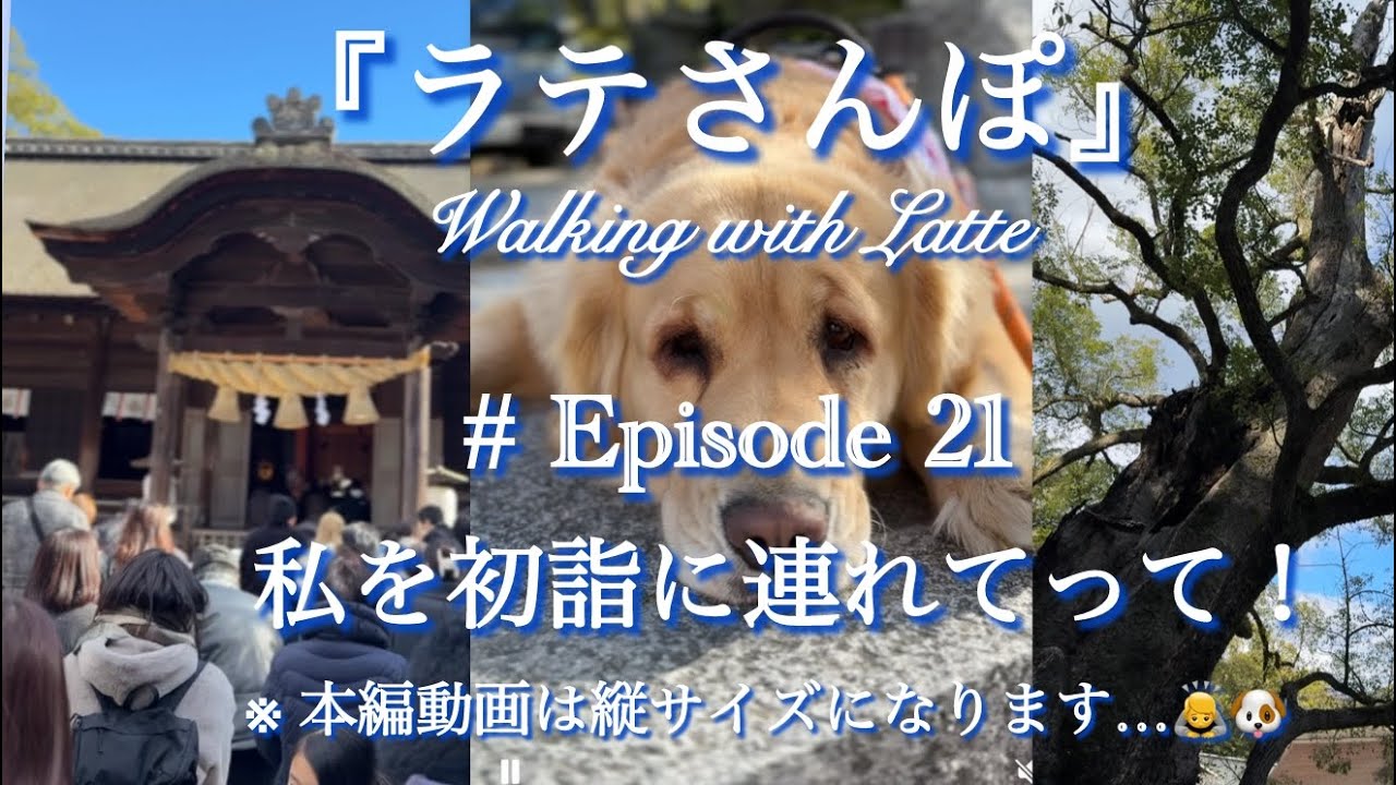 # Episode 21 『私を初詣に連れてって！』しまなみ海道に乗って大山祇神社で愛犬と一緒に初詣