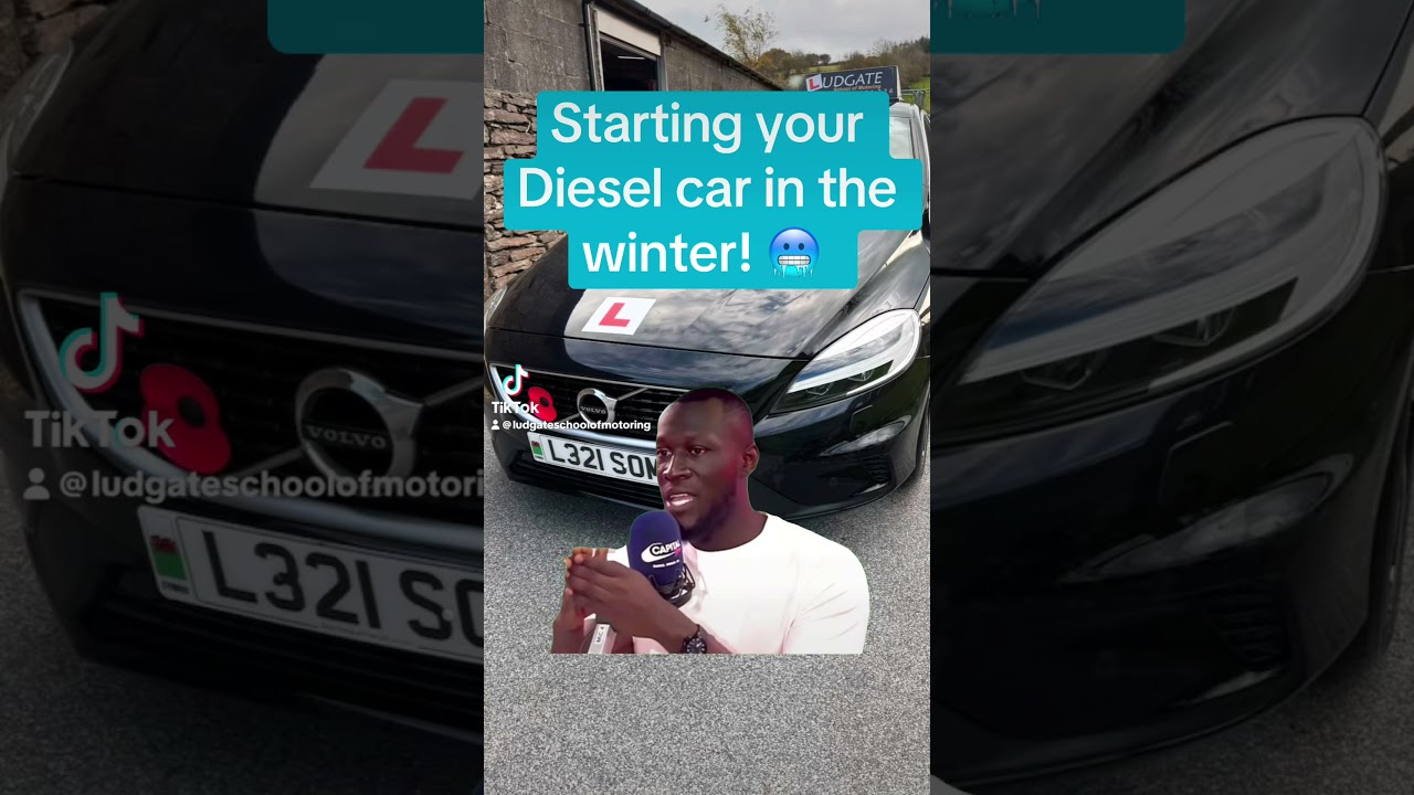 Starting your diesel car in the winter! ❄️🚗(Mine is petrol)