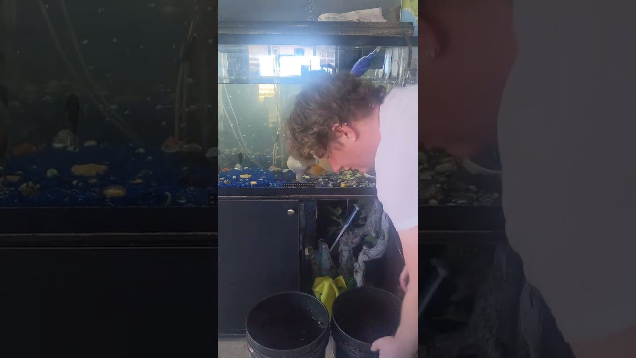 @GayGodSparkles' Cold Water Aquarium ~ Water Change ~ Jan 10, 2026