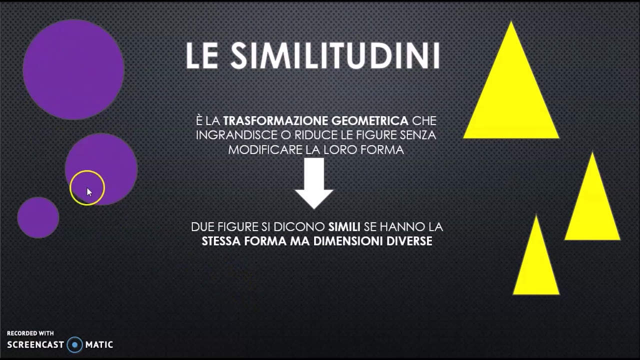 LE SIMILITUDINI