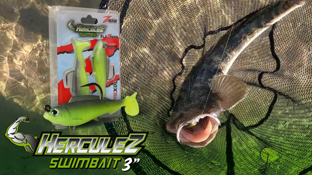 How to Catch Flathead Land Based on Soft Plastics - ZMan 3