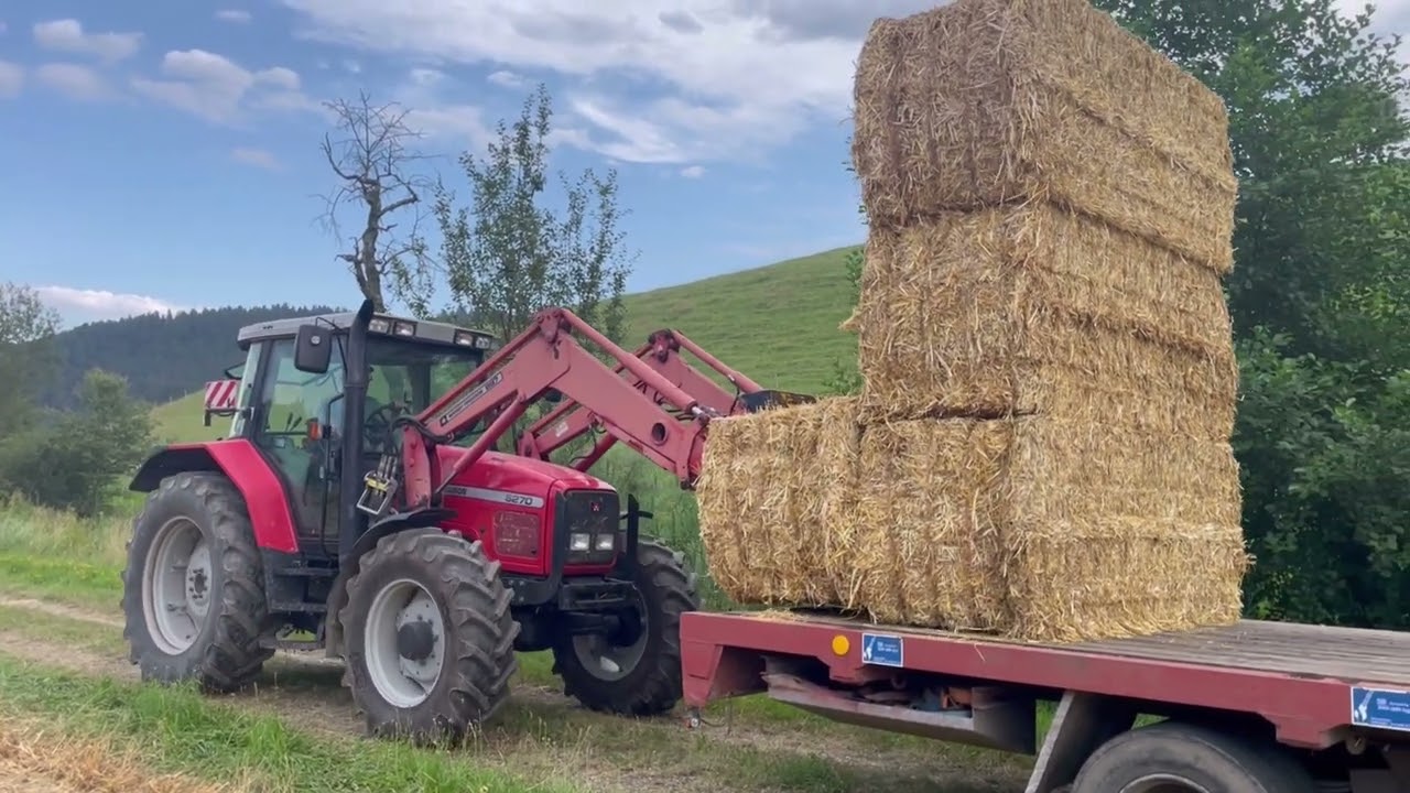 Stroh verladen mit MF 6270