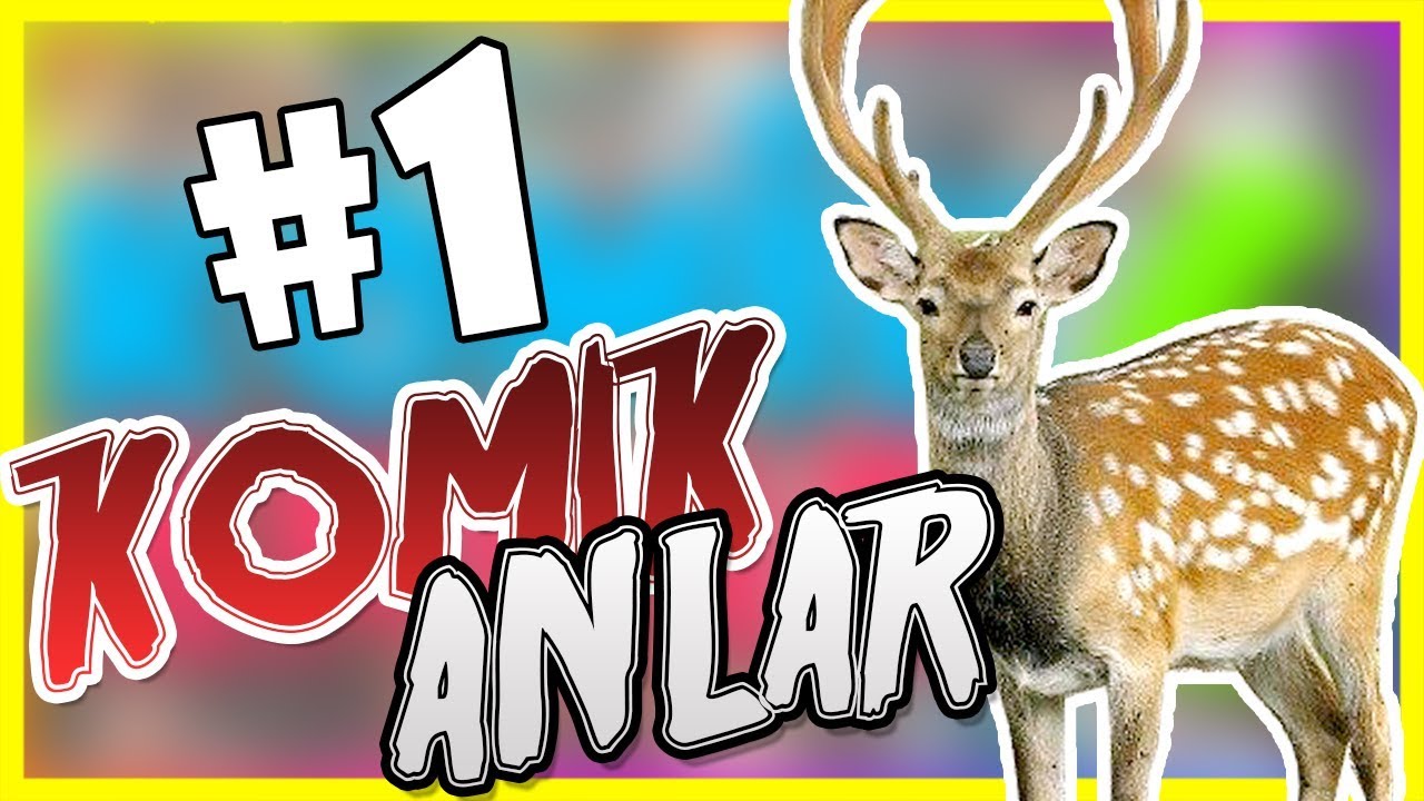 VURDUM MU LA ? |  KOMİK ANLAR [ FUNNY MOMENTS ] #1