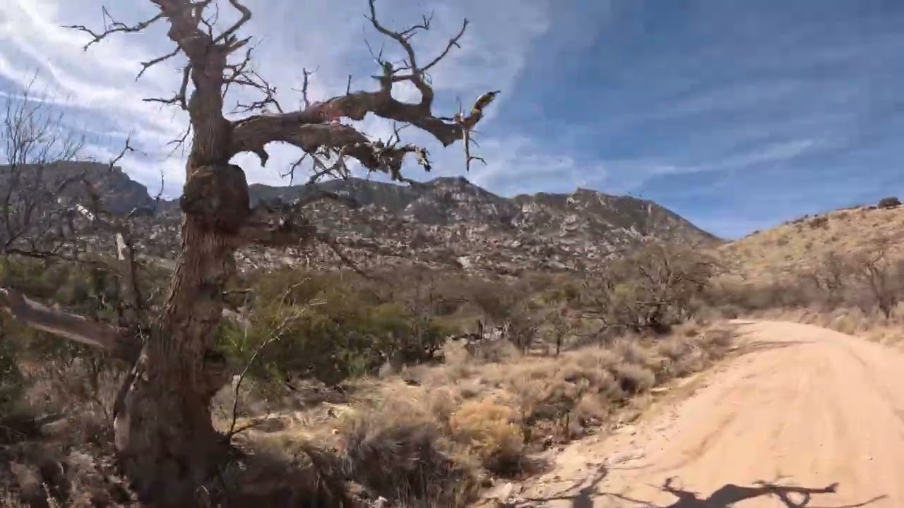 Arizona: Happy Valley Road