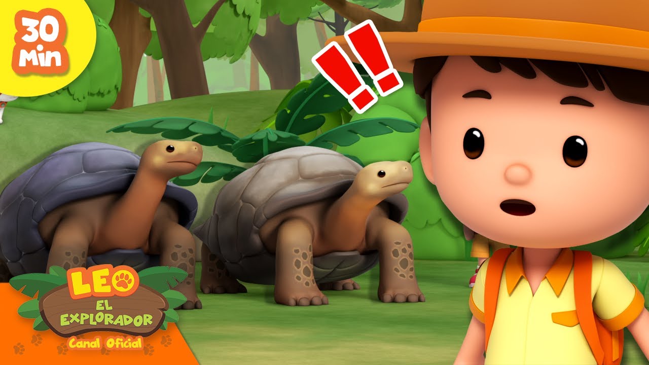 ¿Quién llegará primero a la meta?! | Animales de Larga Vida | Leo, El Explorador | Animación