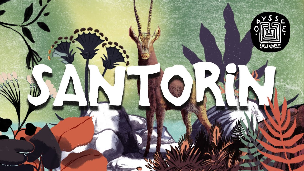 Santorin et le mythe de l'Atlantide #ODYSSEESAUVAGE Ep. 2