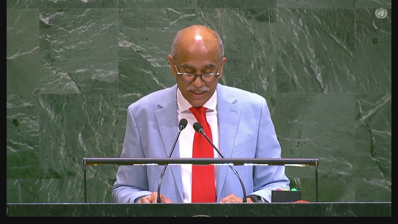 Plenary Segment of the United Nations High-Level Meeting on Improving Global Road Safety.