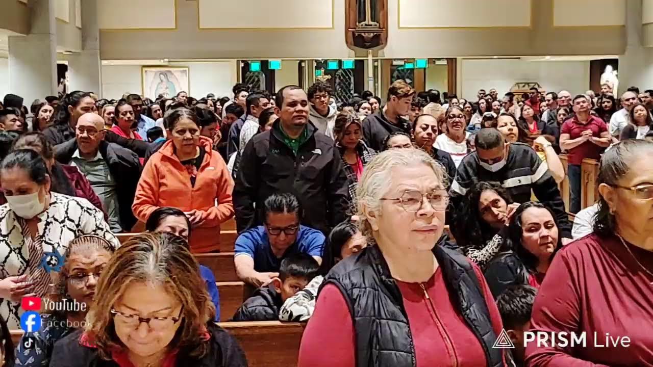 Transmisión en directo de Producciones Juarez
