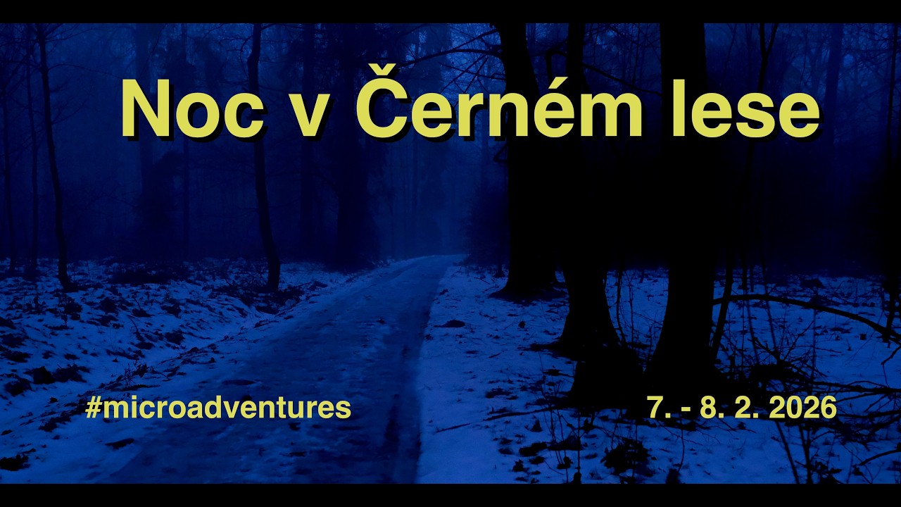 Noc v Černém lese