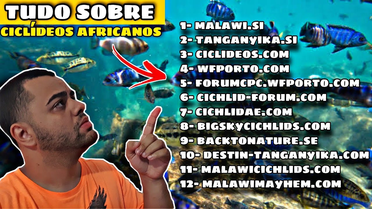 REVELEI OS 12 SITES QUE USO PARA ESTUDAR SOBRE CICLÍDEOS AFRICANOS!