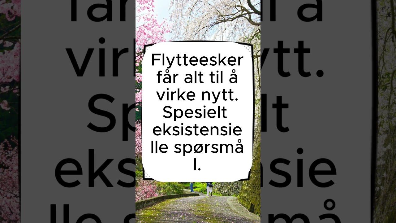 Flytting: praktisk og filosofisk 📦🧠