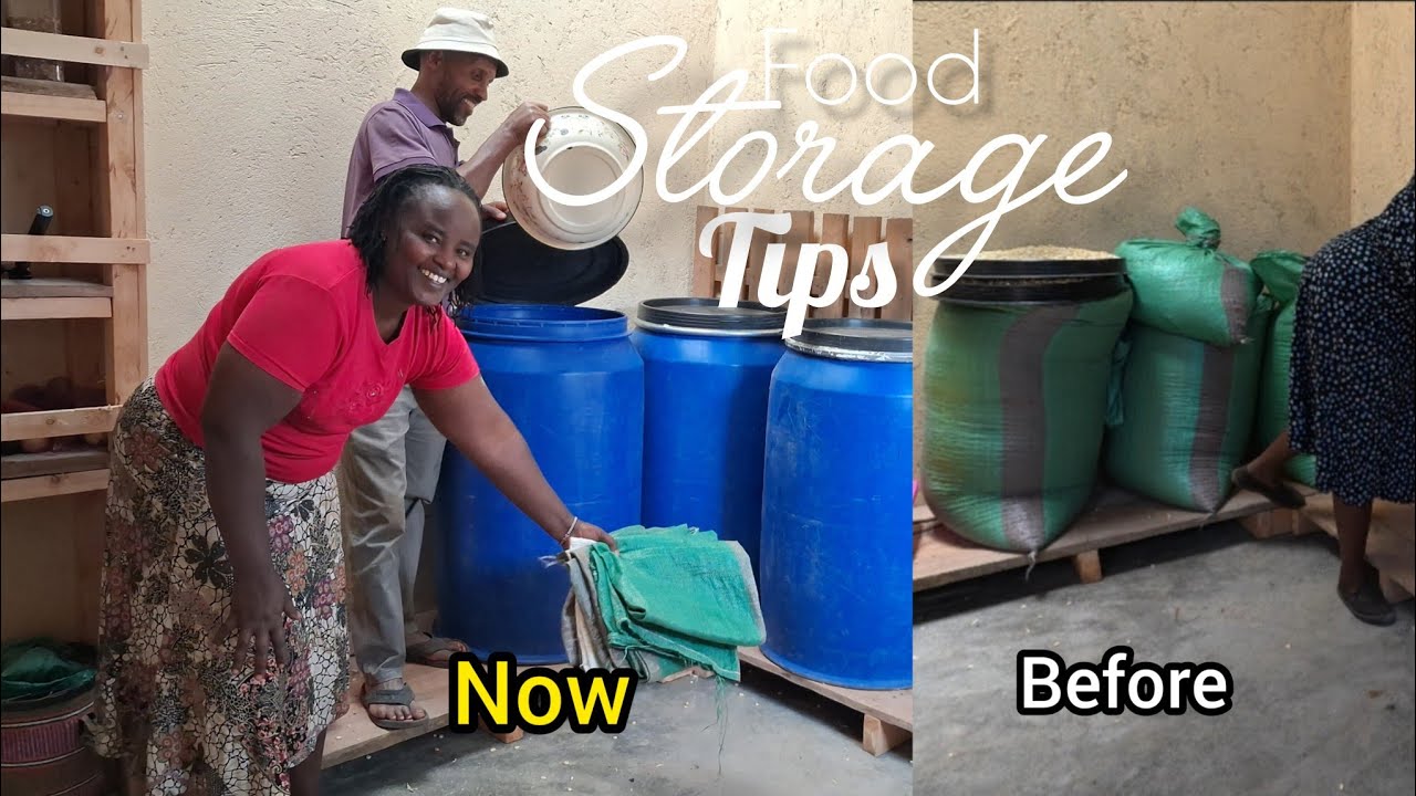 THE SECRET SUCCESS! 🌽 How We Preserve Corn for 3 YEARS with NO Pesticides! 🌿✨