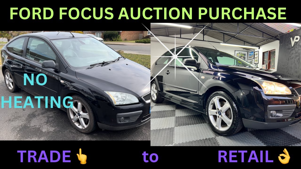 A trip to a car auction doesn't always go as planned.