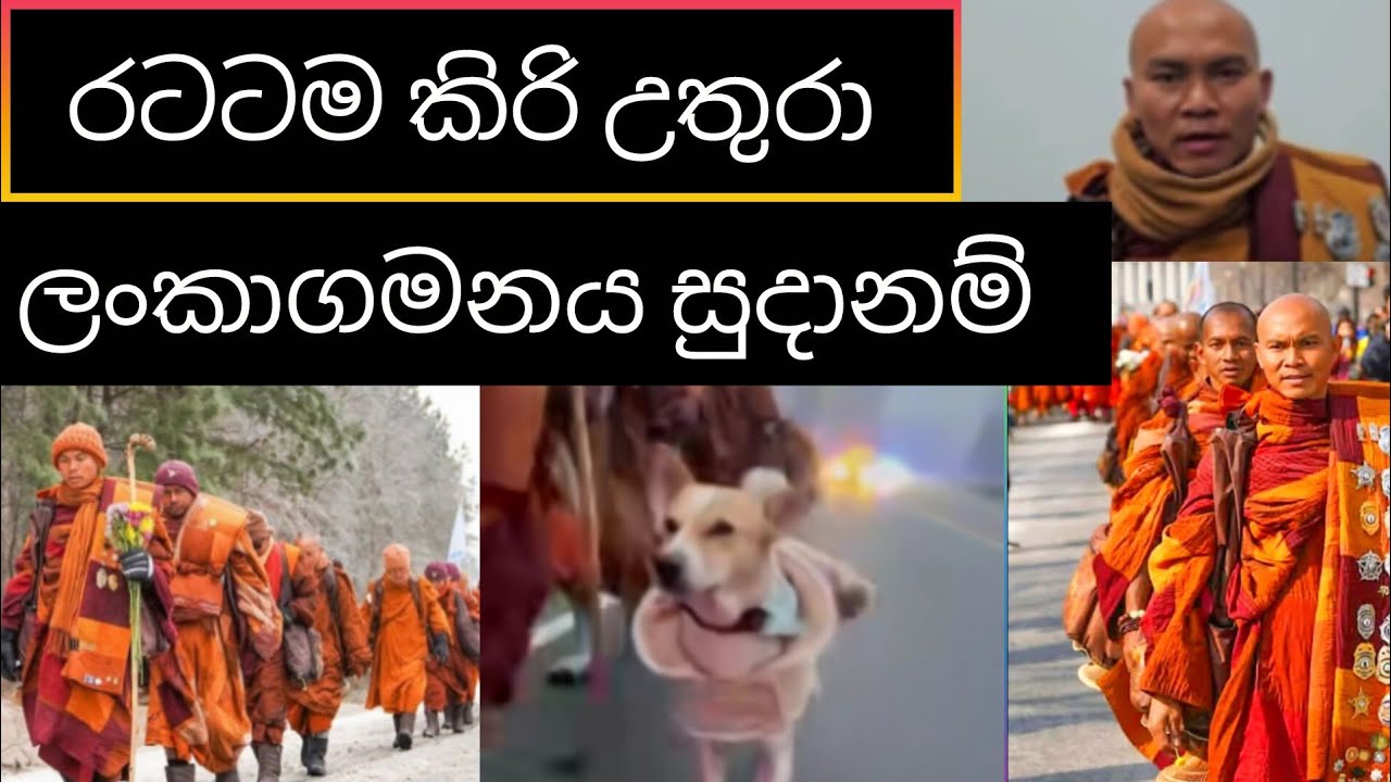ලොව ජයගත් සාම පා ගමන 