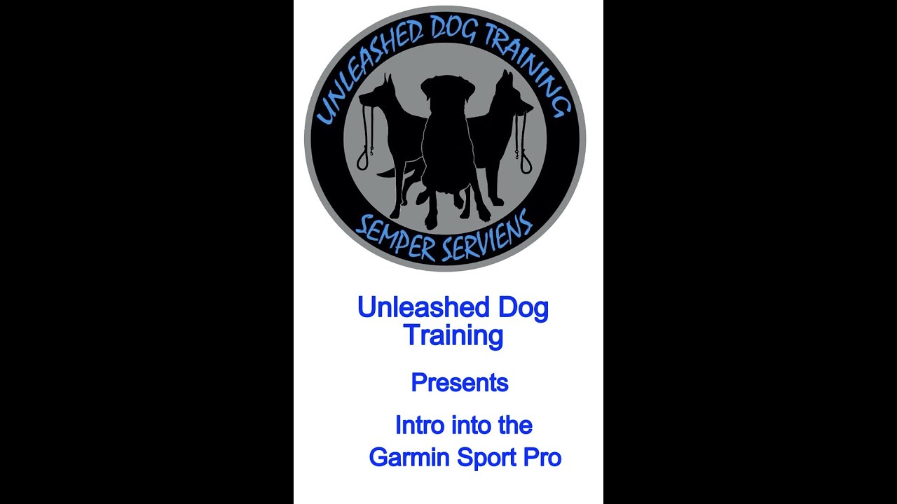 Intro to the Garmin Sport Pro by Casper from Unleashed Dog Training