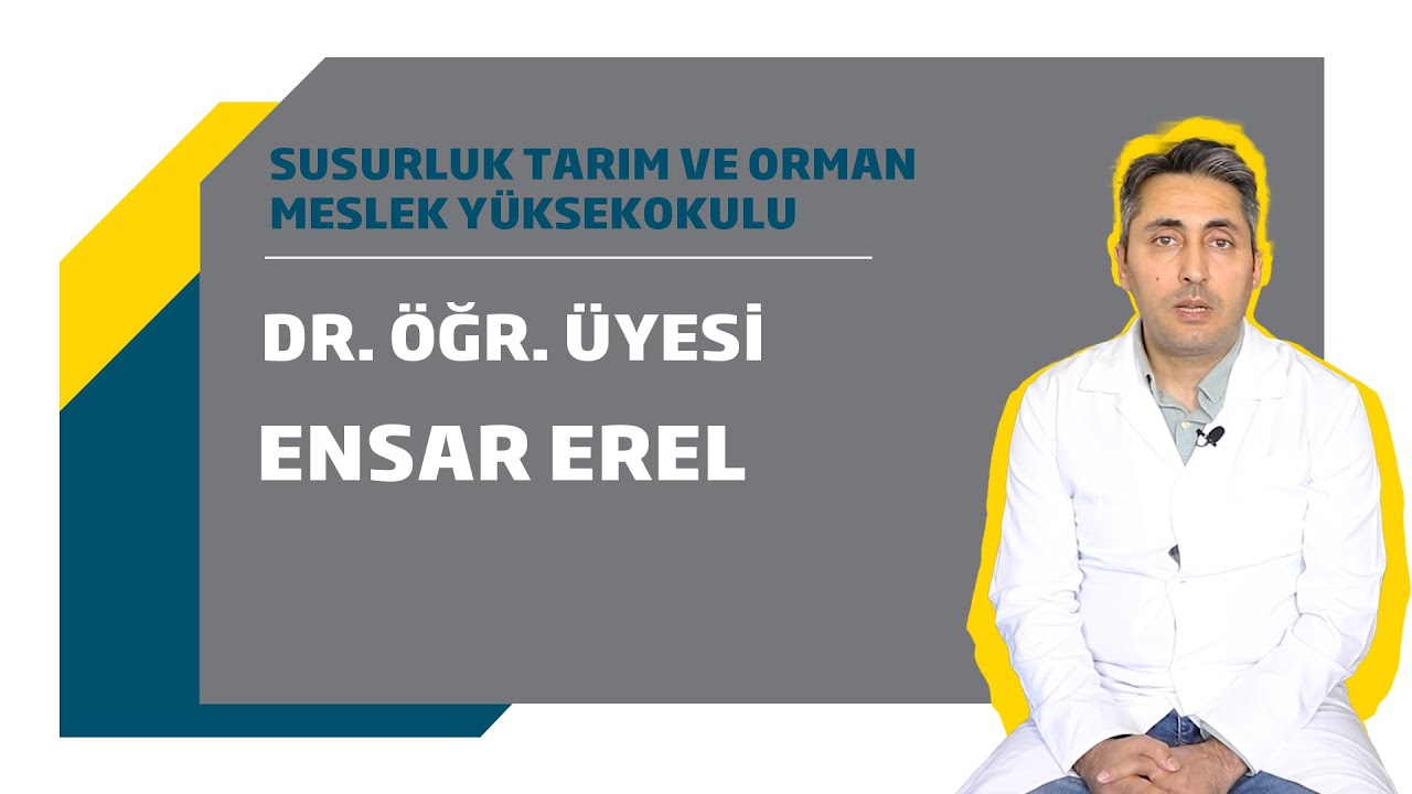 Laboratuvar Teknolojisi Programı -1/2 Susurluk Tarım ve Orman MYO -  Dr. Öğr. Üyesi Ensar Erel