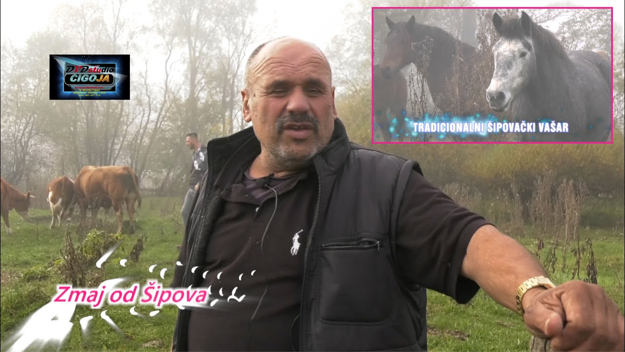 - ZMAJ NEDA DA POKLEKNE VAŠAR U ŠIPOVU