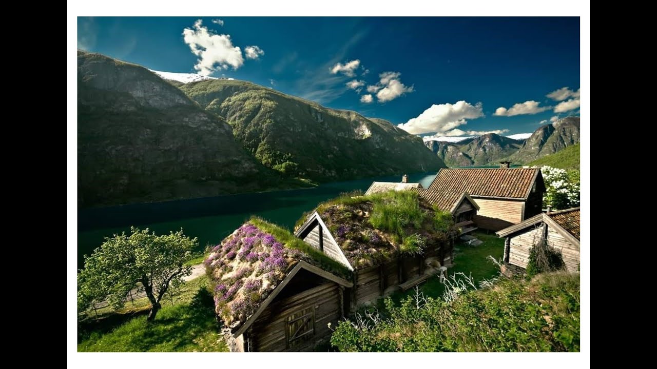 Otternestunet vekst og fall