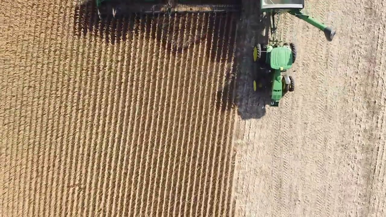 S790 Birds Eye