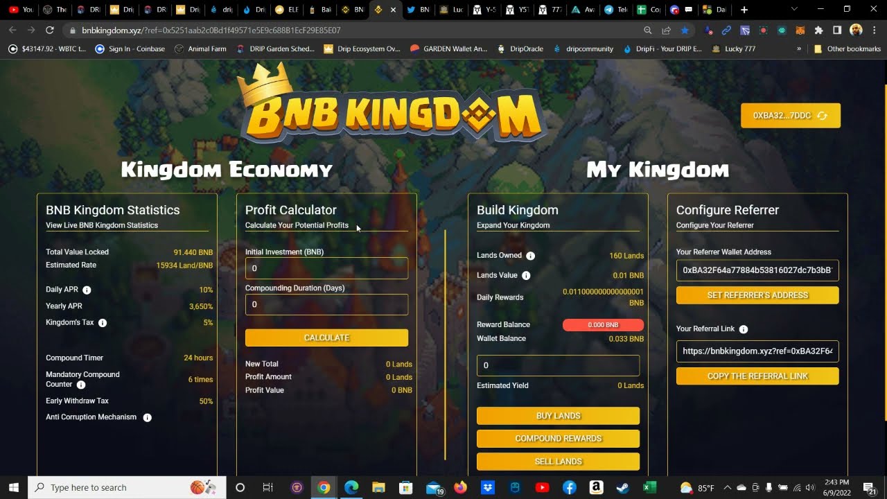 BNB KINGDOM - 10% DAILY - POWERFUL MINER WITH AMAZING ANTI WHALE MECHANISMS & TIMER.